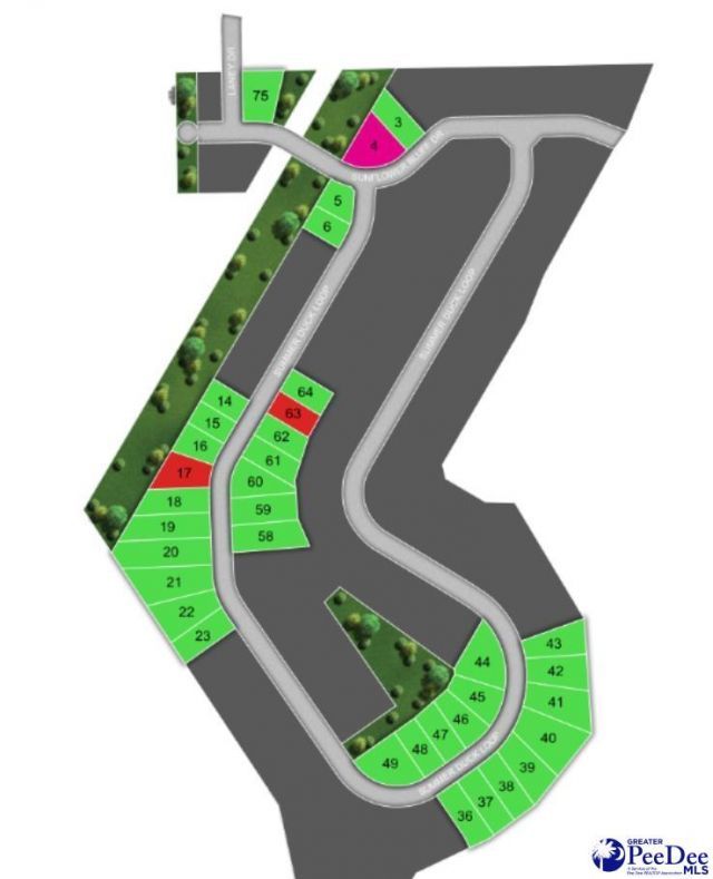 1184 Summer Duck Loop Photo 27