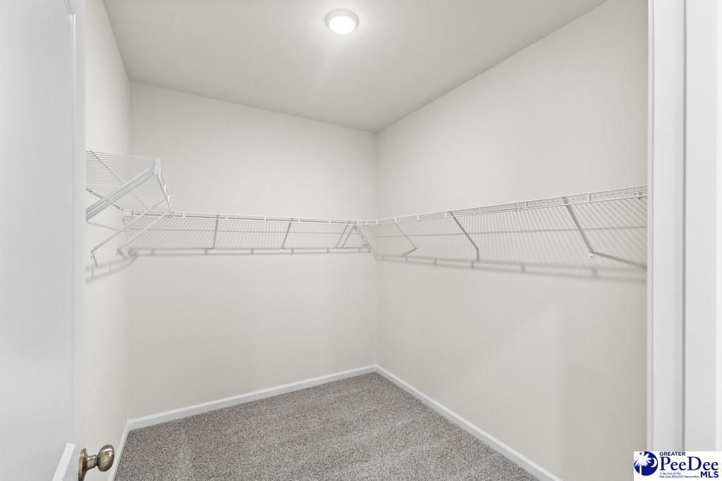 1196 Summer Duck Loop Photo 16