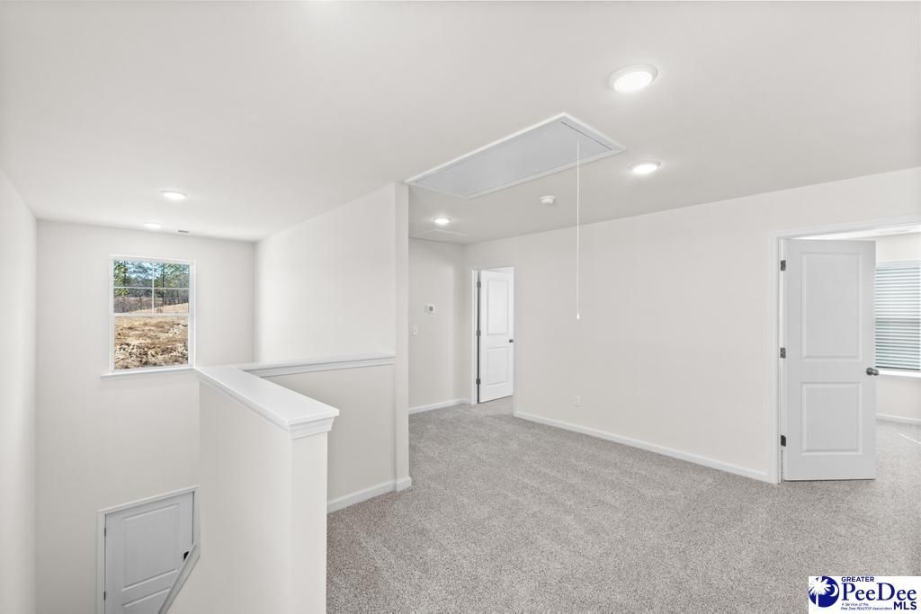 1196 Summer Duck Loop Photo 18