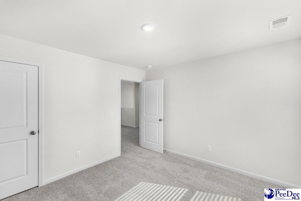 1196 Summer Duck Loop Photo 21