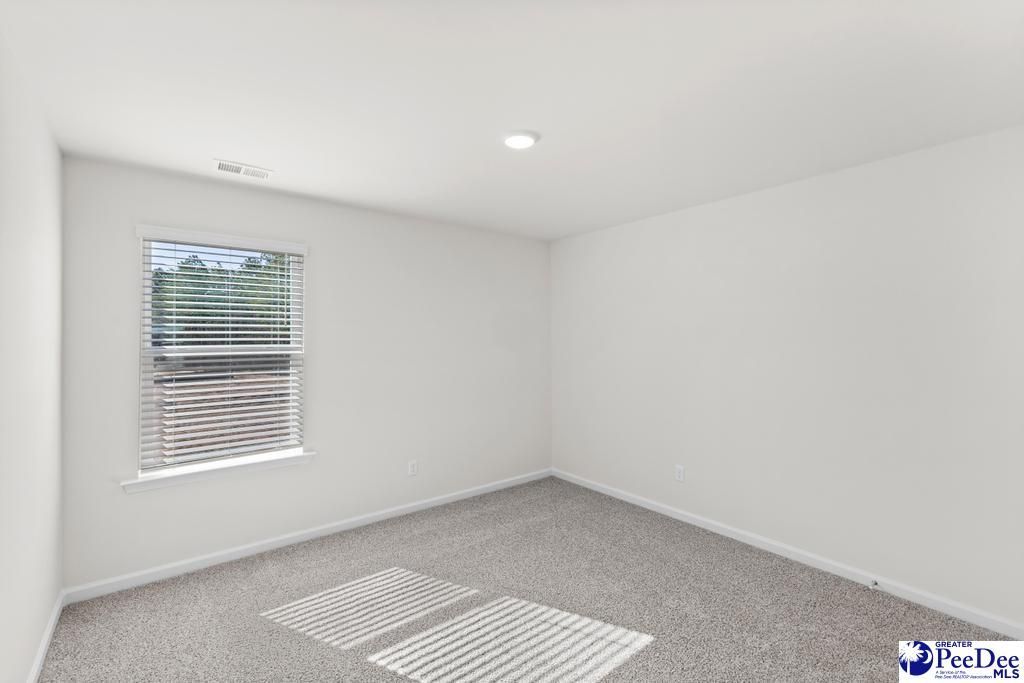 1196 Summer Duck Loop Photo 22