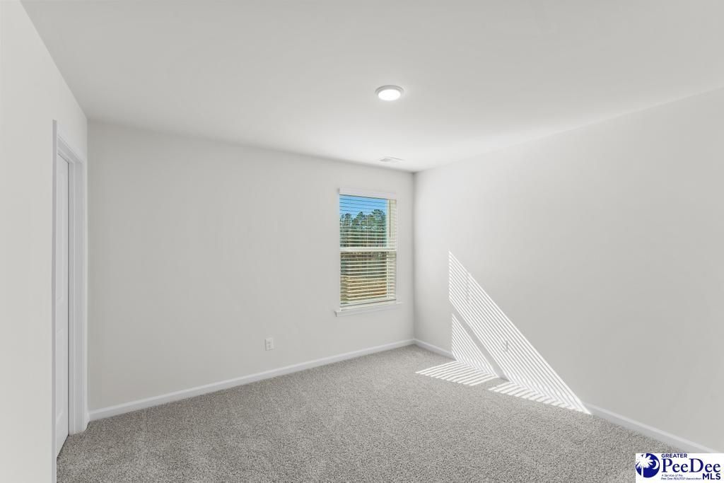 1196 Summer Duck Loop Photo 24