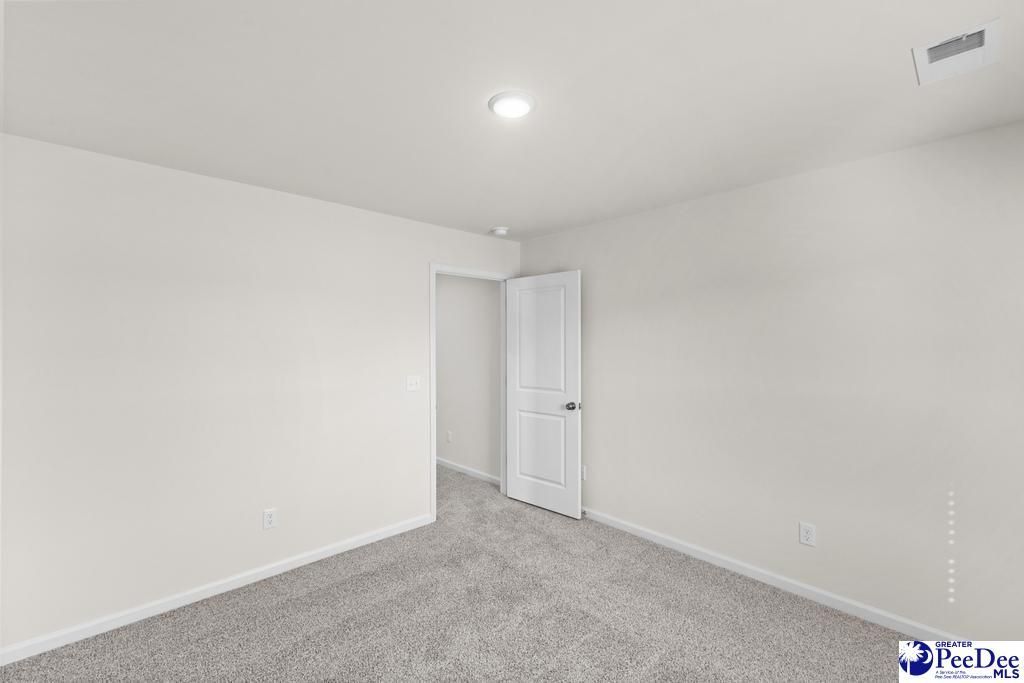 1196 Summer Duck Loop Photo 27