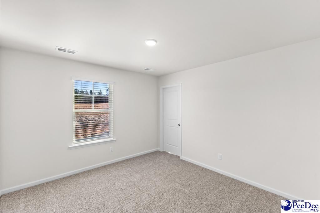 1196 Summer Duck Loop Photo 28