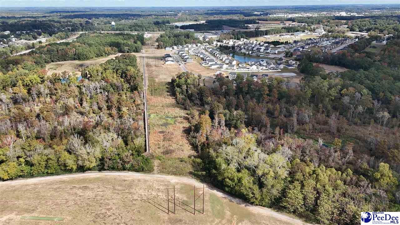 1196 Summer Duck Loop Photo 44