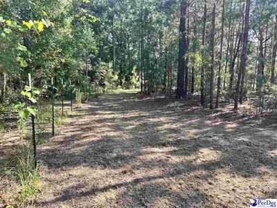 2886C Stephens Rd, Bethune, SC 29009