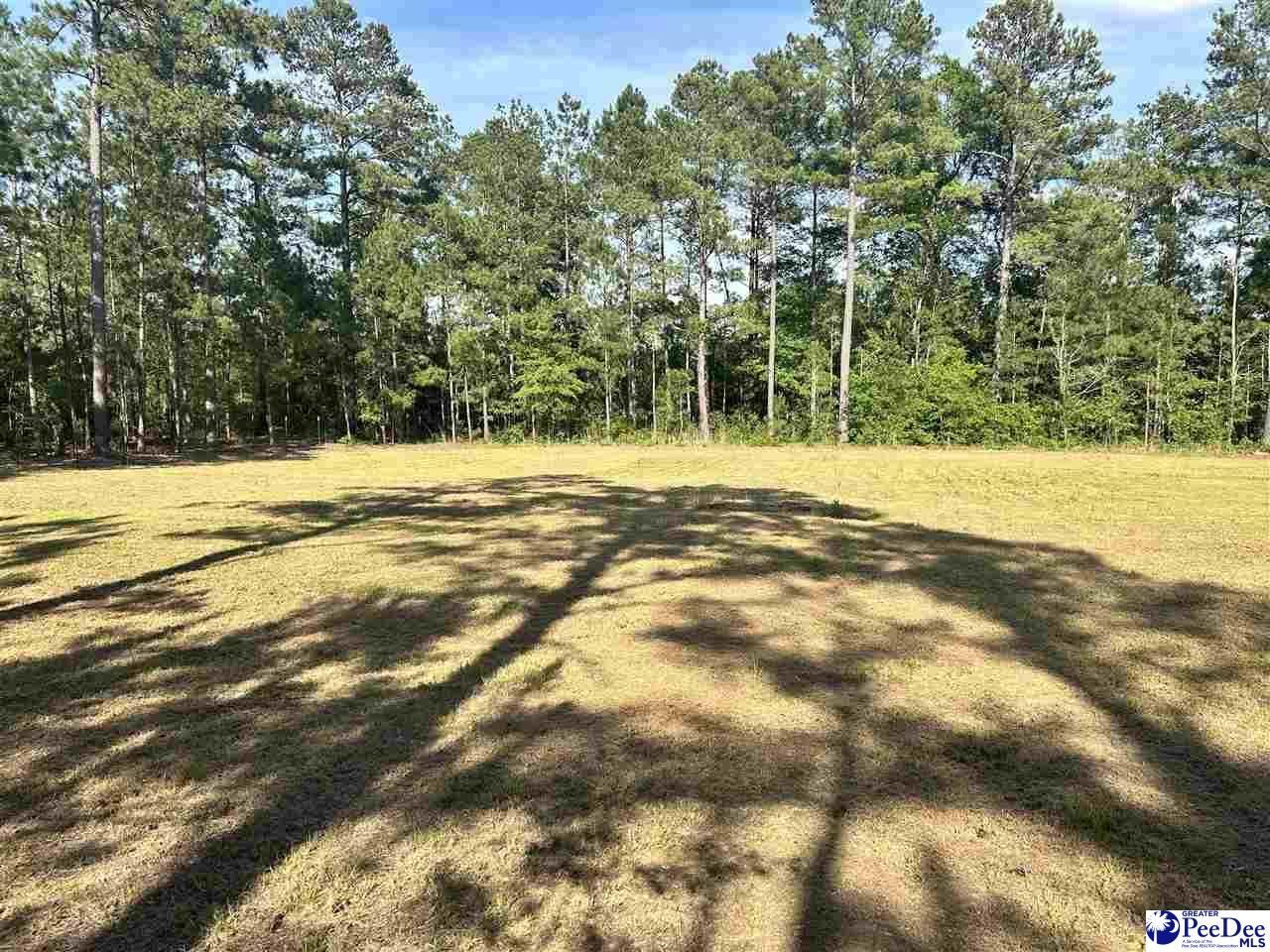 2886c Stephens Rd Photo 11