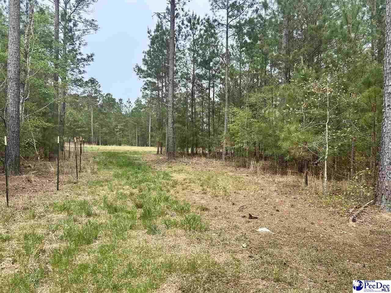 2886c Stephens Rd Photo 12