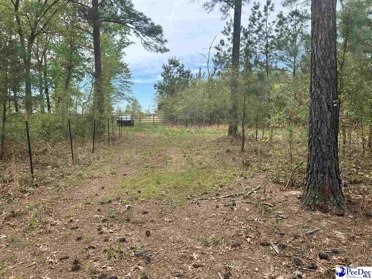 2886c Stephens Rd Photo 15