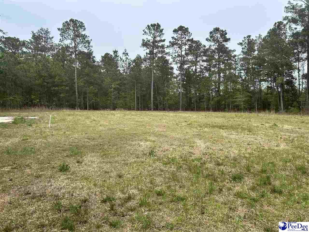2886c Stephens Rd Photo 16