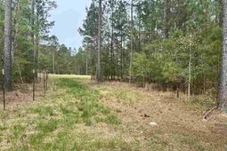 2886c Stephens Rd photo 4