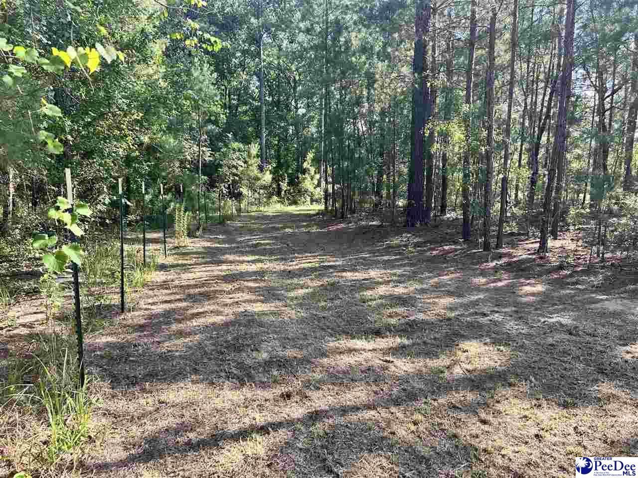 2886c Stephens Rd Photo 4