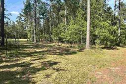 2886c Stephens Rd photo 4