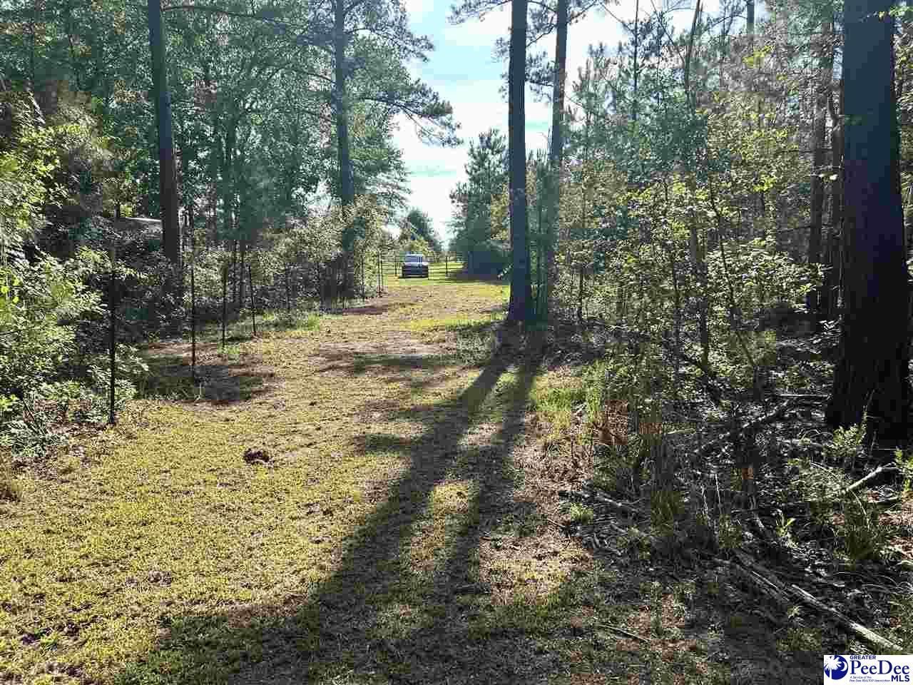 2886c Stephens Rd Photo 5