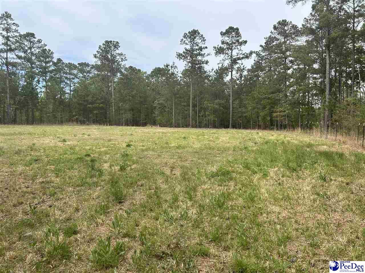 2886c Stephens Rd Photo 6