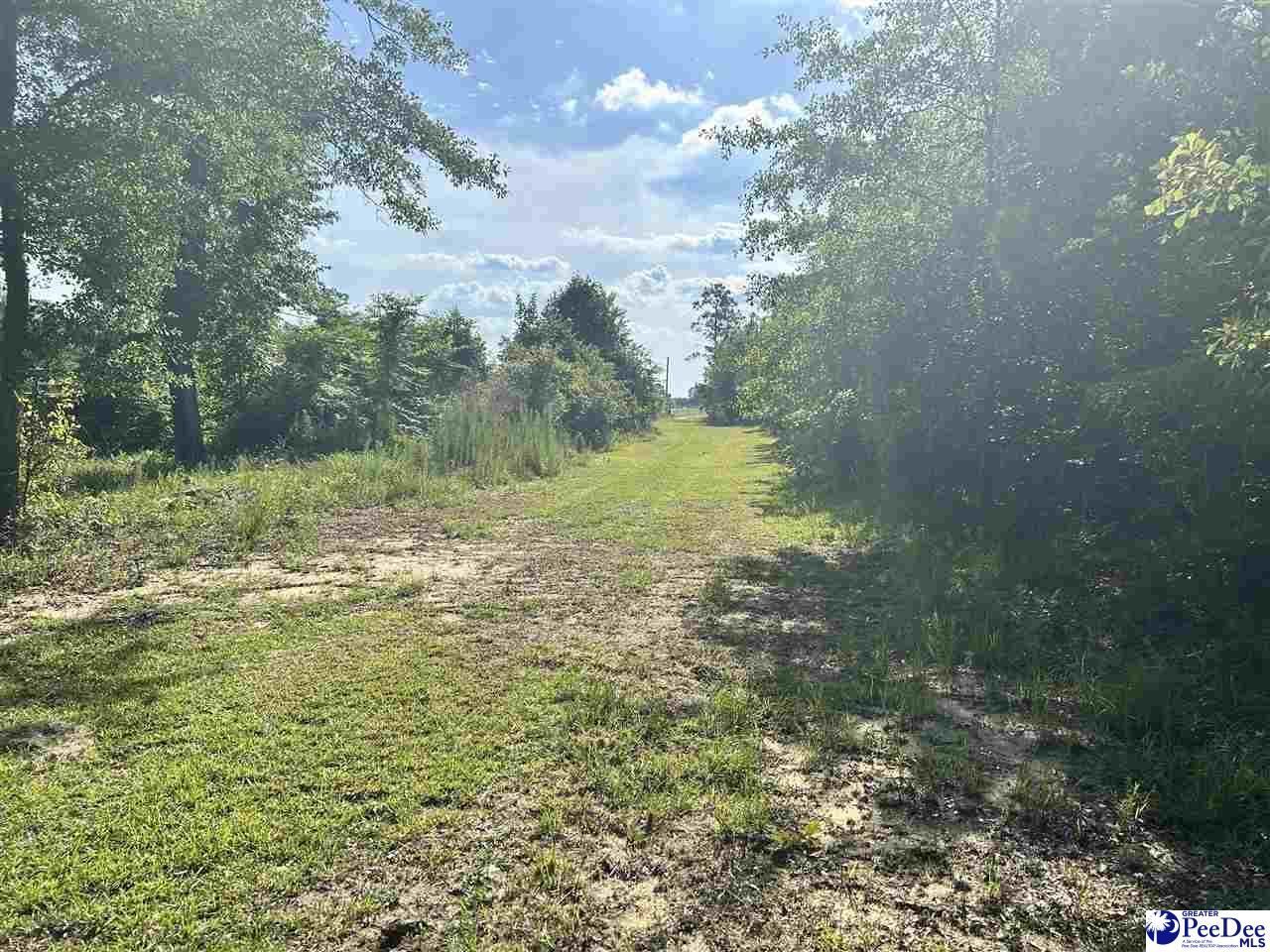 2886c Stephens Rd Photo 7