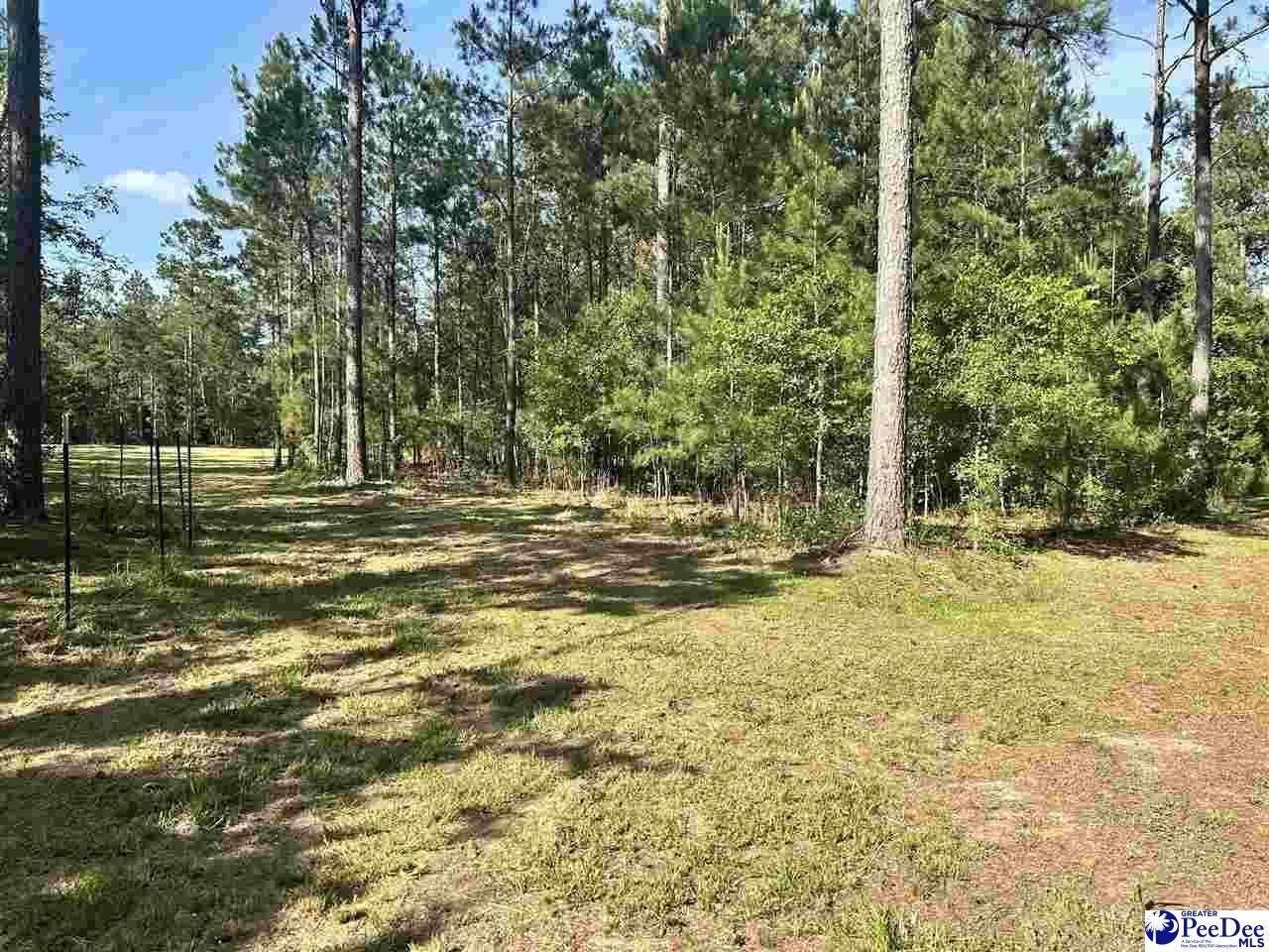 2886c Stephens Rd Photo 8