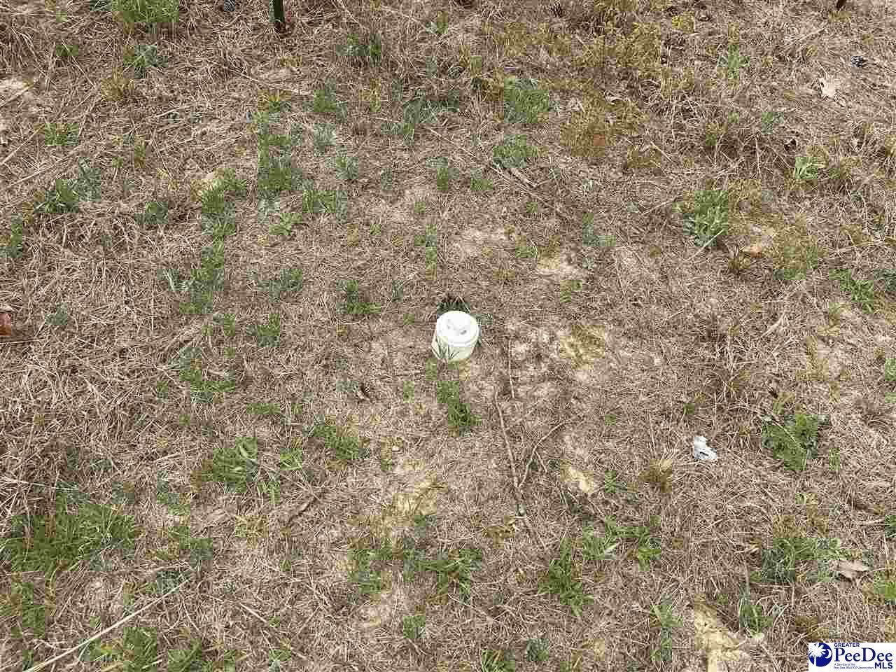 2886c Stephens Rd Photo 8