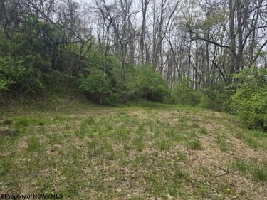 2024 Purinton Street, Morgantown, WV 26505