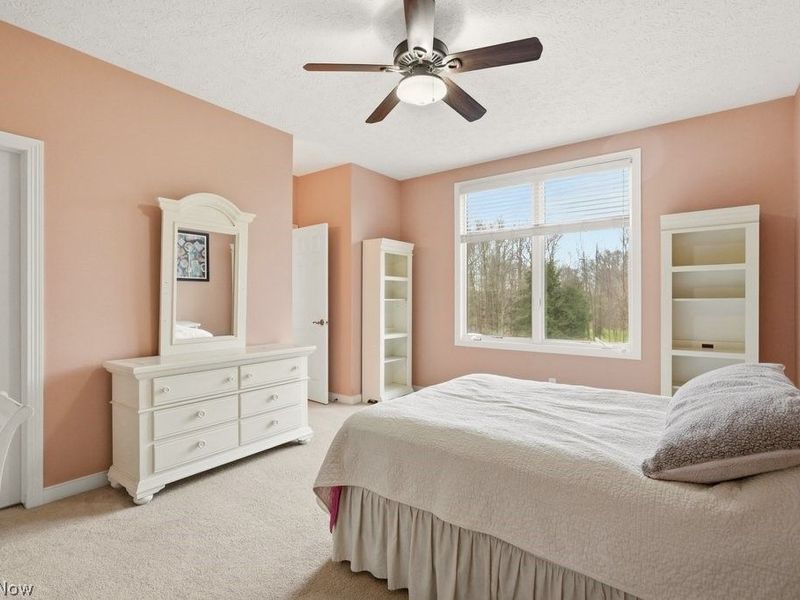 4471 Forest Brooke Court N, Richfield, OH 44286 Photo 23