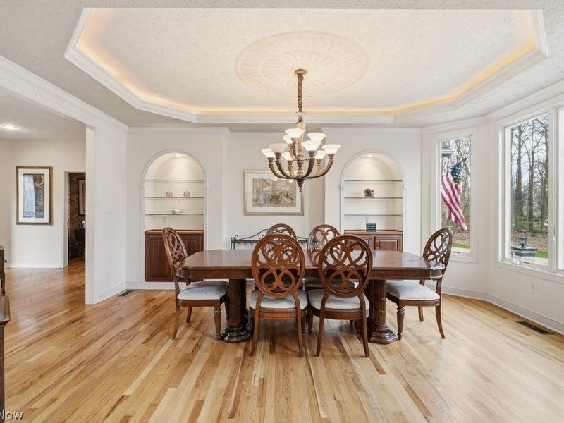 4471 Forest Brooke Court N, Richfield, OH 44286 Photo 3