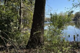 2625 Midland Park Road photo 4