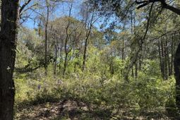 8730 N Park Boulevard photo 4