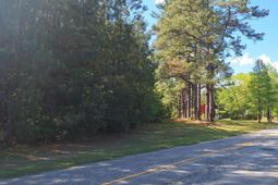 0 Lebanon Road photo 4