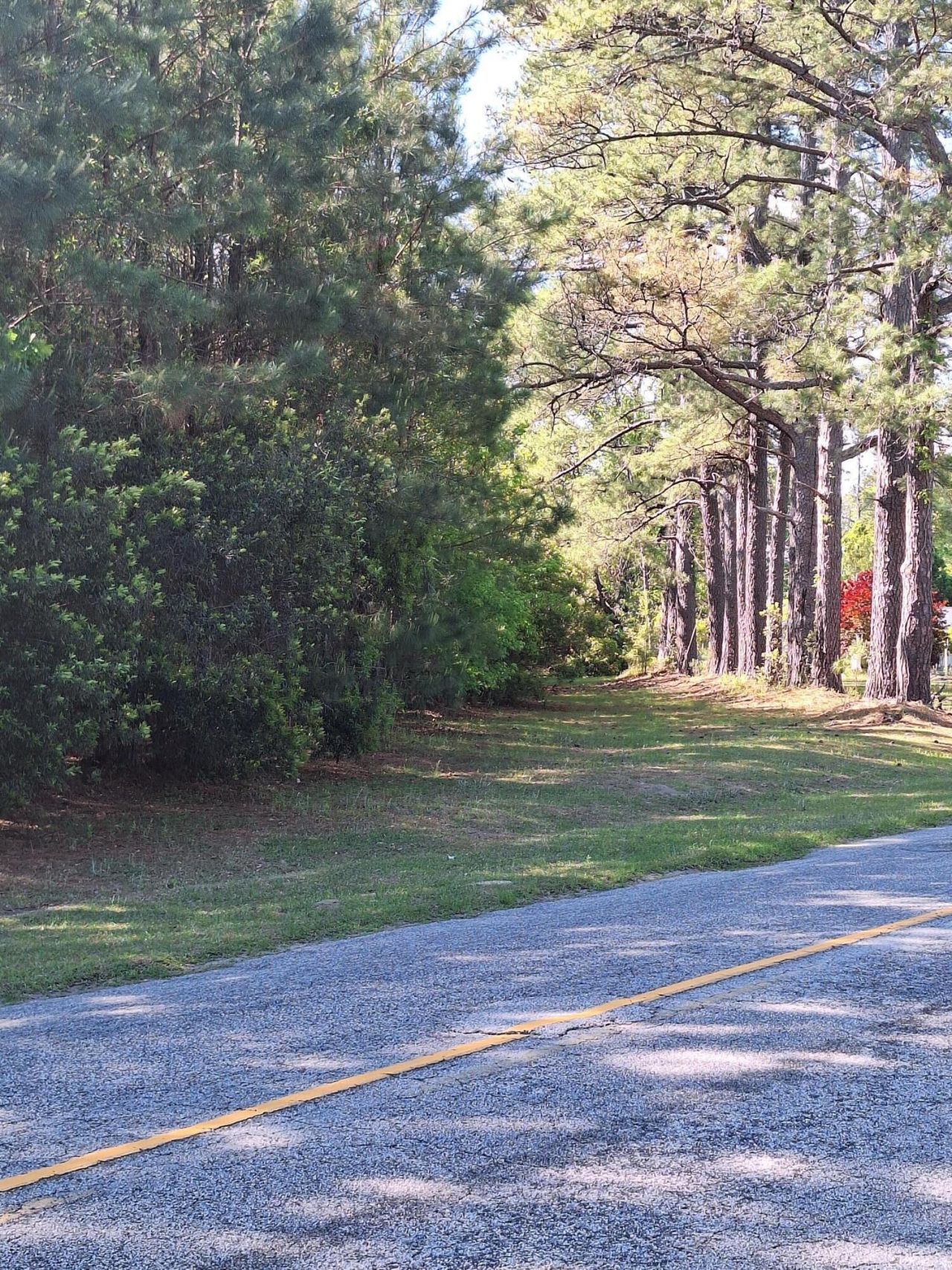 0 Lebanon Road Photo 3