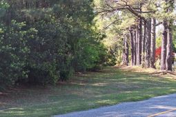 0 Lebanon Road photo 4