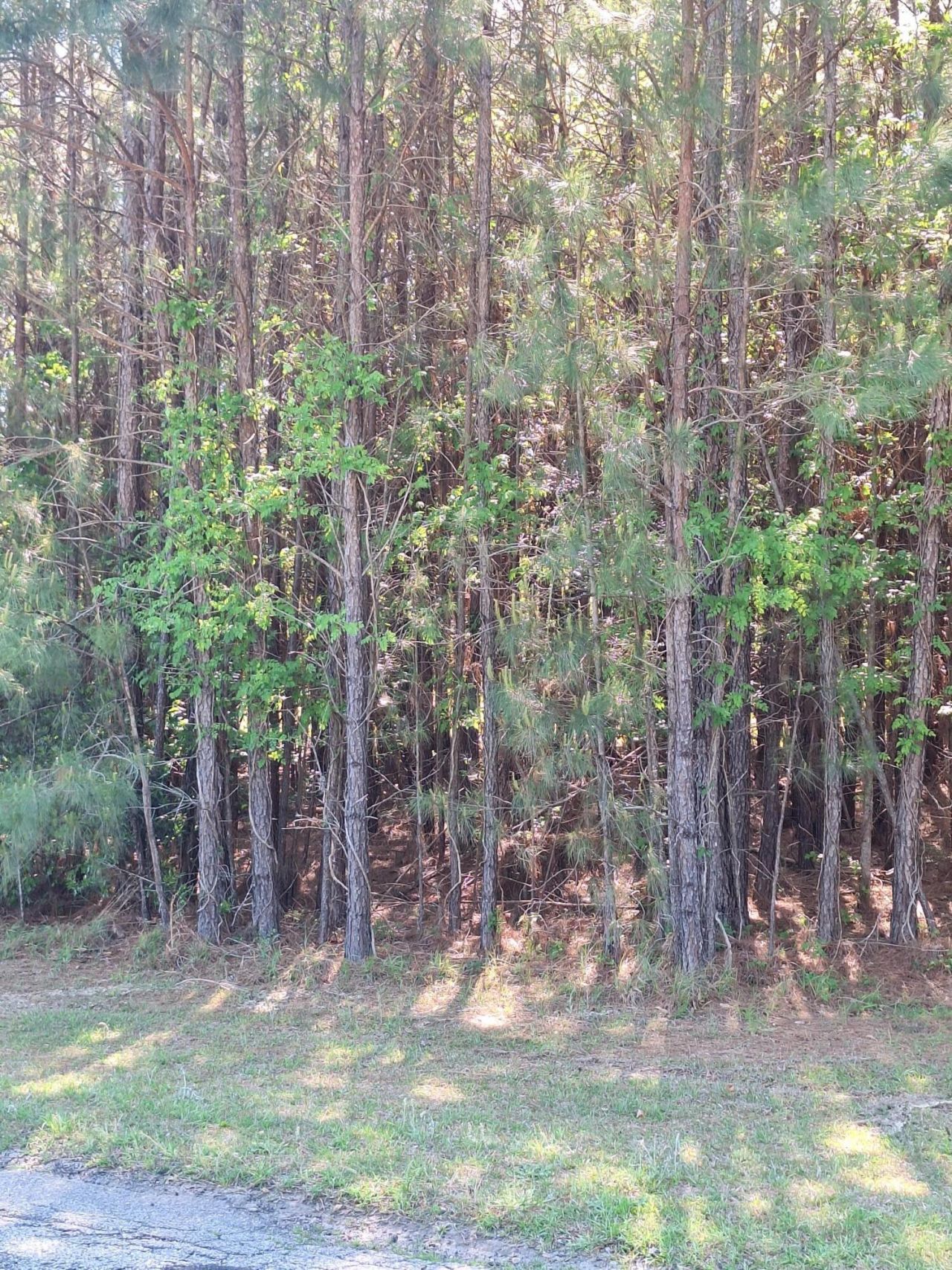 0 Lebanon Road Photo 4