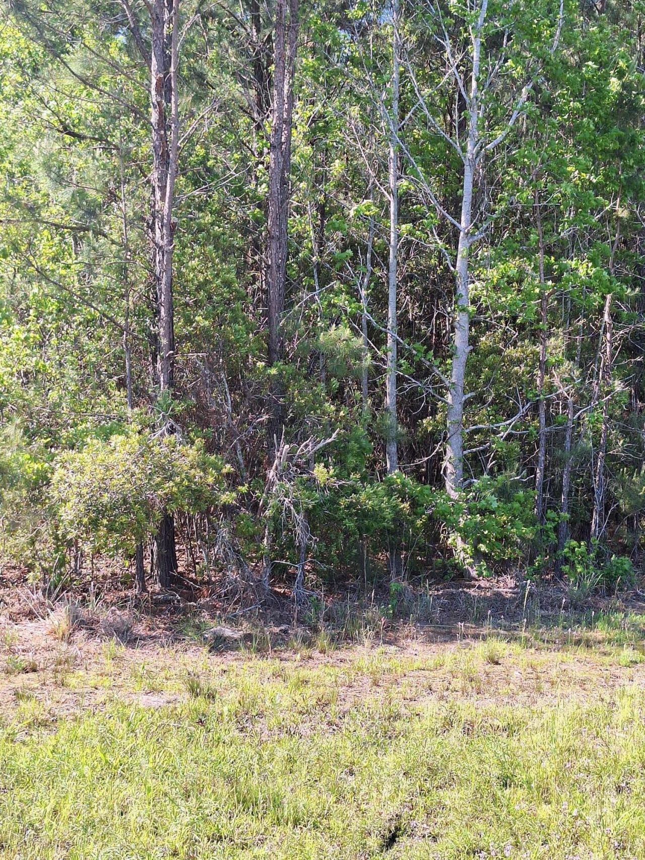 0 Lebanon Road Photo 5