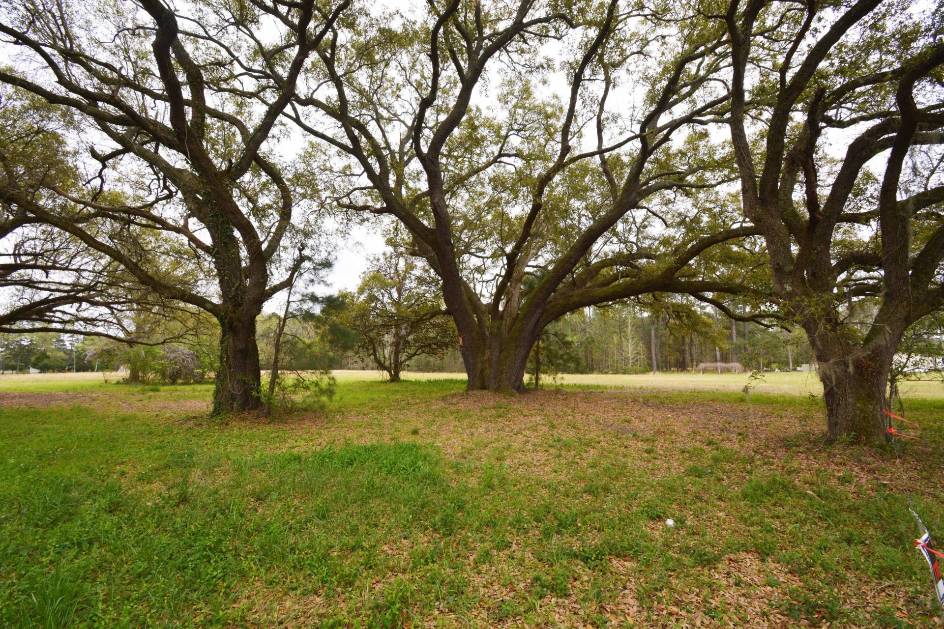 0 Morrisville Road Photo 4