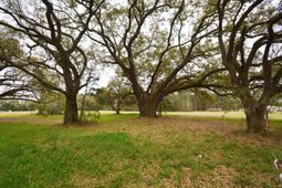 0 Morrisville Road photo 4