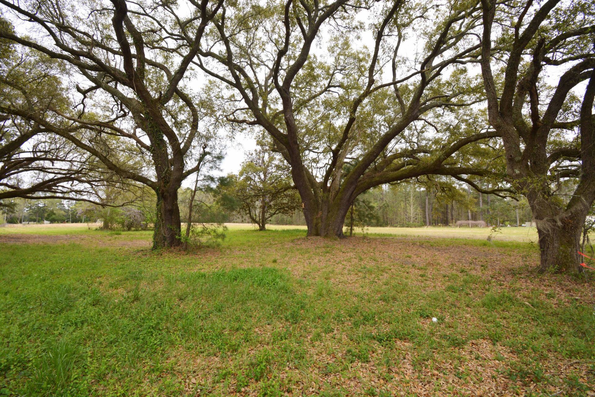 0 Morrisville Road Photo 6