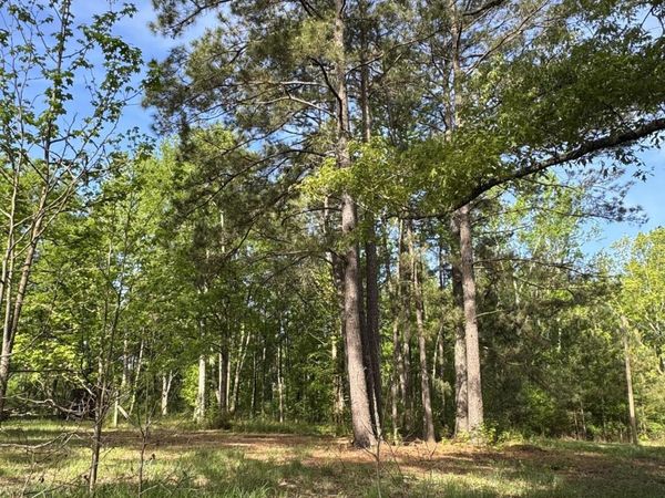 0 Stump Road, Gloster, MS 39638