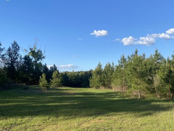 Tbd County Road 48, Gloster, MS 39638