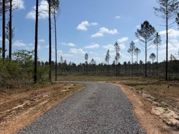 25 Acres City Bridge Road, Perkinston, MS 39573