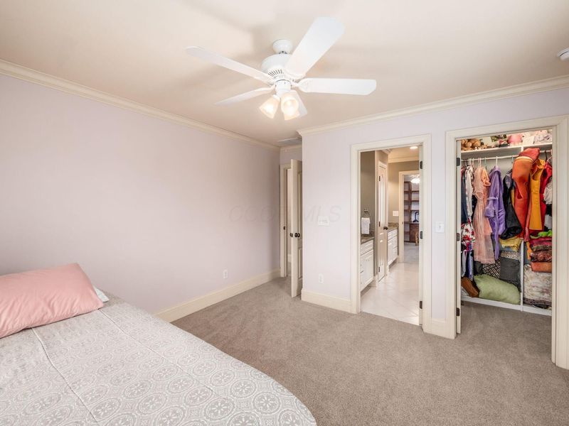 8674 Filiz Lane, Powell, OH 43065 Photo 41