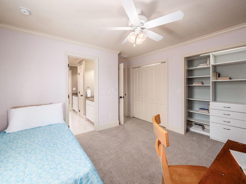 8674 Filiz Lane, Powell, OH 43065 Photo 45