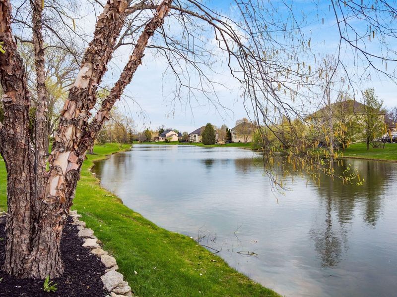 8674 Filiz Lane, Powell, OH 43065 Photo 57