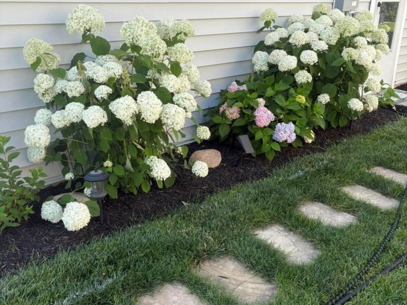 868 Zeller Circle, Pickerington, OH 43147 Photo 57