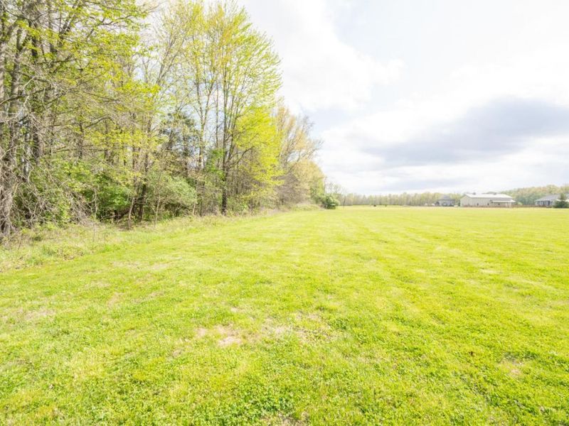 2668 Harry A Hill Drive, Tate Twp, OH 45106 Photo 60