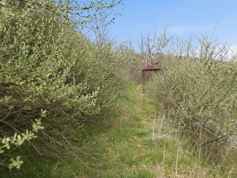 5683 Centerpoint Road, Pleasant Twp, OH 45121 Photo 64