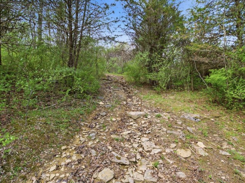 5683 Centerpoint Road, Pleasant Twp, OH 45121 Photo 65