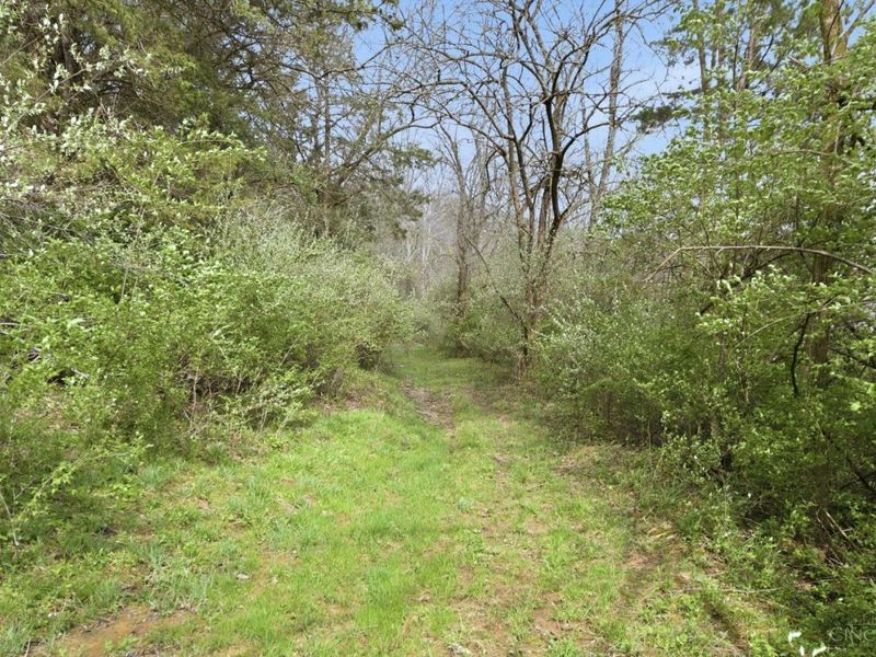 5683 Centerpoint Road, Pleasant Twp, OH 45121 Photo 67