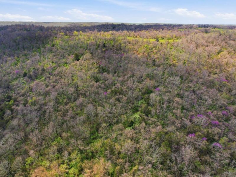 5683 Centerpoint Road, Pleasant Twp, OH 45121 Photo 79