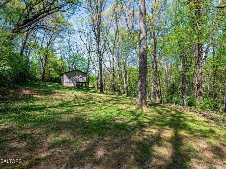 Property Image 48