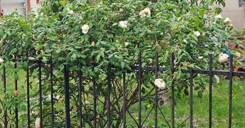 329 S Stockton Ave, Ripon, CA 95366 Photo