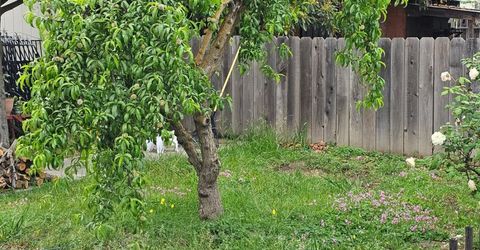 329 S Stockton Ave, Ripon, CA 95366 Photo